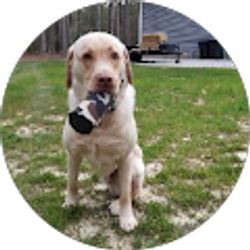 Profile photo of Erik Welker