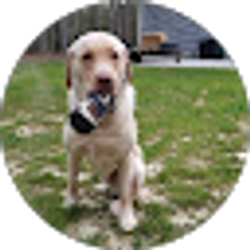 Profile photo of Erik Welker