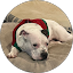 Profile photo of Yonis Valladares