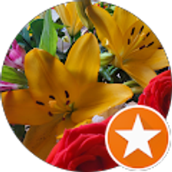 Profile photo of Holly Mayer