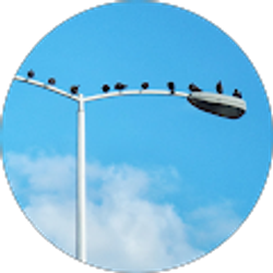 Profile photo of Phong Bui