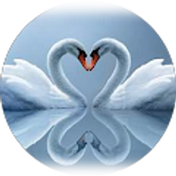 Profile photo of Rosie Landers