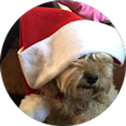 Profile photo of Marisia Avilez