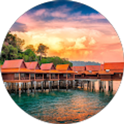 Profile photo of Bob T