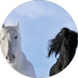 Profile photo of Last Black Unicorn