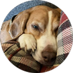 Profile photo of j rewa