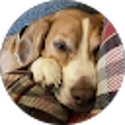 Profile photo of j rewa