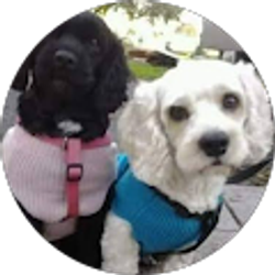 Profile photo of Christine Schmidt