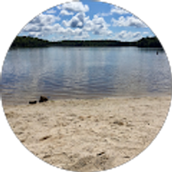 Profile photo of Bob Lutz