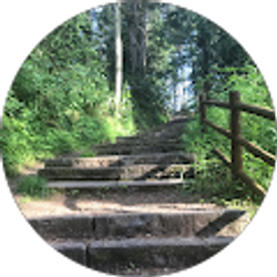 Profile photo of Mrs Bix