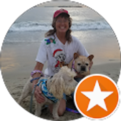 Profile photo of M. Warner