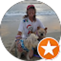 Profile photo of M. Warner