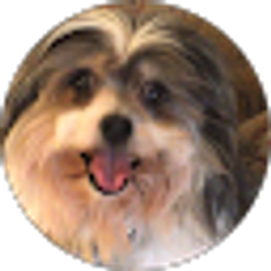 Profile photo of David Macko