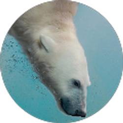 Profile photo of Beth Merriman