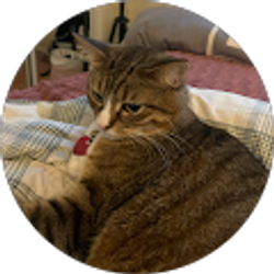 Profile photo of Katrina Walker