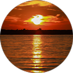 Profile photo of Shauna Linn