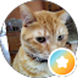 Profile photo of Scott Powell