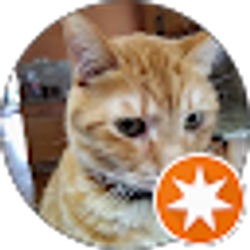 Profile photo of Scott Powell