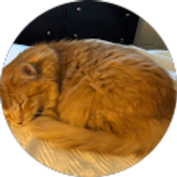 Profile photo of Otter Head