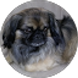 Profile photo of SHARRON WHITE