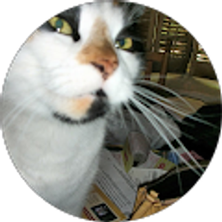 Profile photo of Andy B