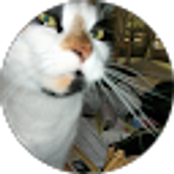 Profile photo of Andy B