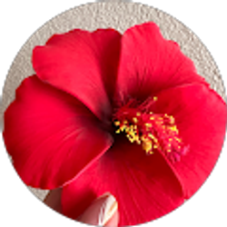 Profile photo of Lanuola Kisena