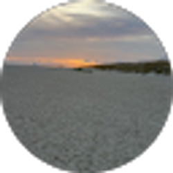 Profile photo of Elizabeth Podlesny