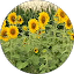 Profile photo of Tina