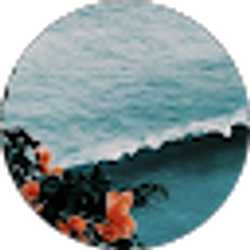 Profile photo of rylee lundie