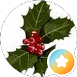 Profile photo of hollyhclark