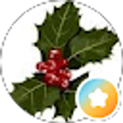 Profile photo of hollyhclark