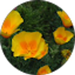 Profile photo of Deborah Wittwer