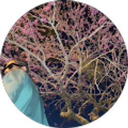 Profile photo of Testimony Edokpa