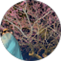 Profile photo of Testimony Edokpa