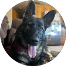 Profile photo of Mama Goose