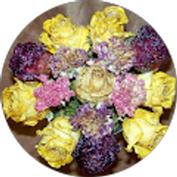 Profile photo of Tabatha Corder