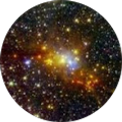 Profile photo of Wyatt Heim