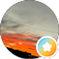 Profile photo of Lux