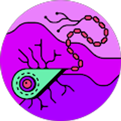 Profile photo of Manuela Quintero