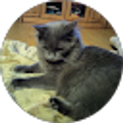 Profile photo of Bruno Hernandez