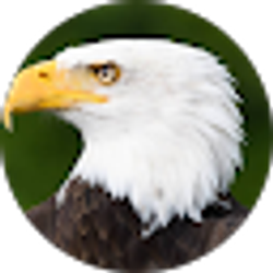 Profile photo of Caleb Ta