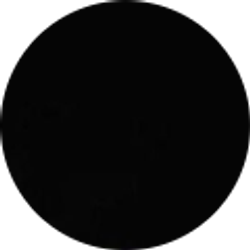 Profile photo of Saul