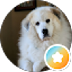 Profile photo of Christina