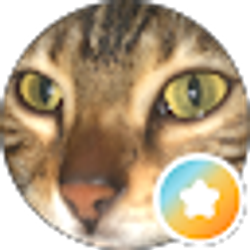 Profile photo of Keaton’s Personal Email