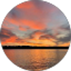 Profile photo of Monica