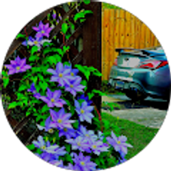 Profile photo of Erik White