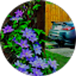 Profile photo of Erik White