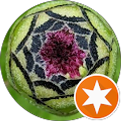 Profile photo of Monica DuShane