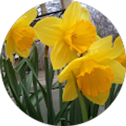 Profile photo of Charlene Abbott